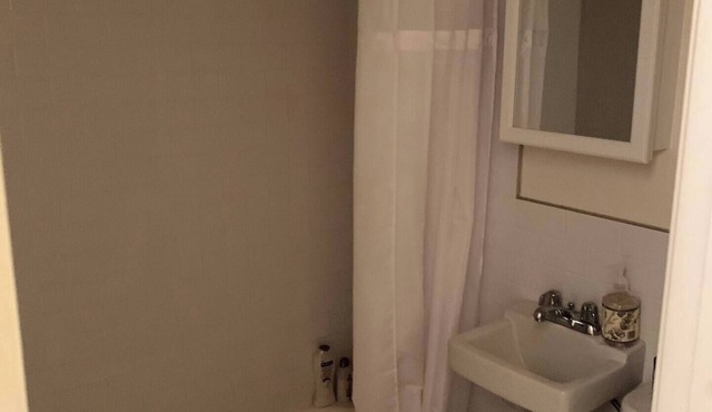 Two story big apartment in the heart of Park Slope