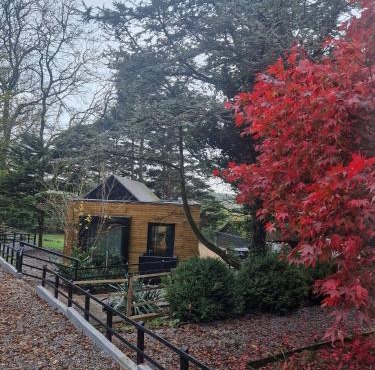 Ty Branwen- Luxury Woodland Lodge with Stunning Views