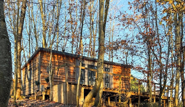 Ty cwtch Cabin - UKC7147