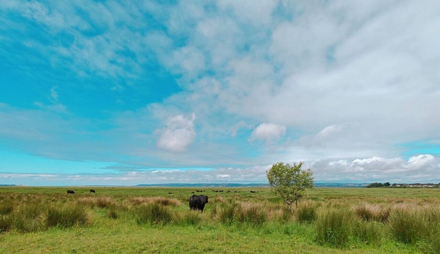 Ty Gors - Three Bedroom House, Sleeps 6