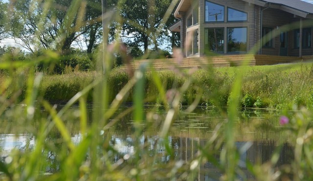 Ty Log, Llansteffan - Two Bedroom Cottage, Sleeps 4