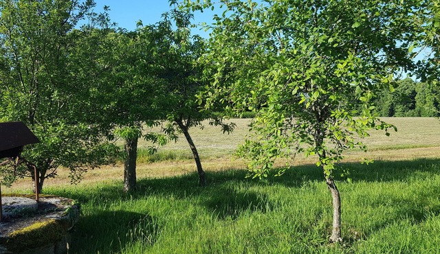 Ty Prawine, in a quiet, welcoming farmhouse