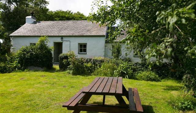 Tyn Llan - a dog that sleeps 4 guests in 2 bedrooms