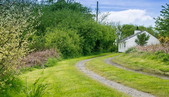 Tyn Llidiart - a remote that sleeps 3 guests in 2 bedrooms