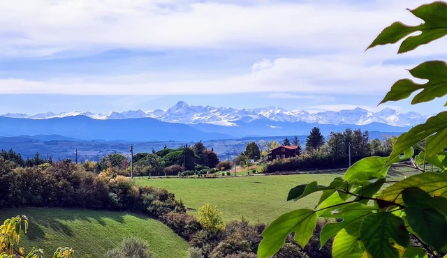 Typical Ariege house with private pool