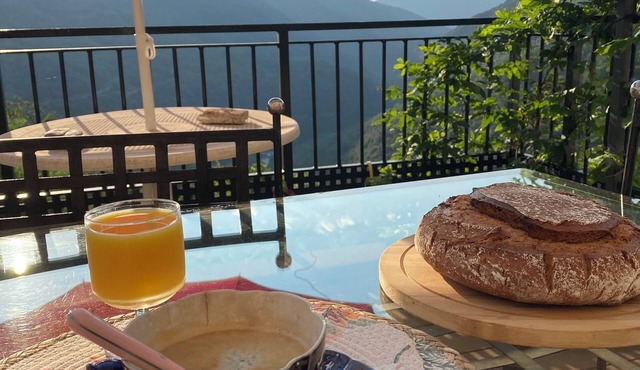 Typical Cévenole house with breathtaking views