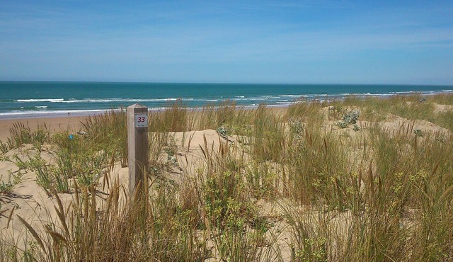 Typical Charentais house, 10 minutes from the sea, market and cycle path.
