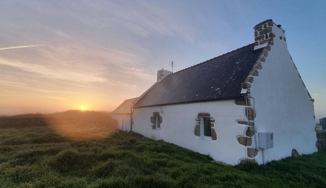 Typical Ouessantine house entirely renovated with its enclosed garden planted with trees.