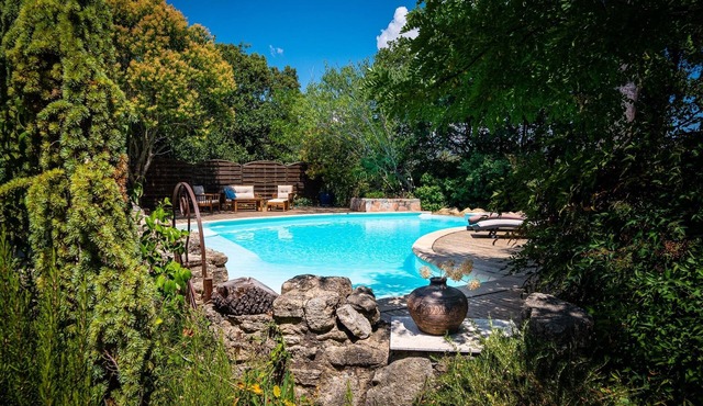 Typical Provencal villa, pool, luxurious amenities