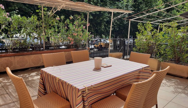Typical Provencal village house with lovely terrace.