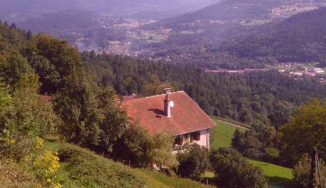 Typical Vosges chalet - sleeps 9 (excluding babies)