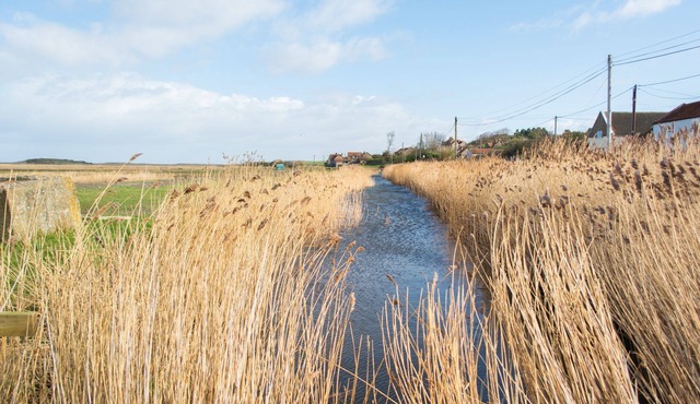 Tystie Cottage | Coastal property located in area of outstanding natural beauty