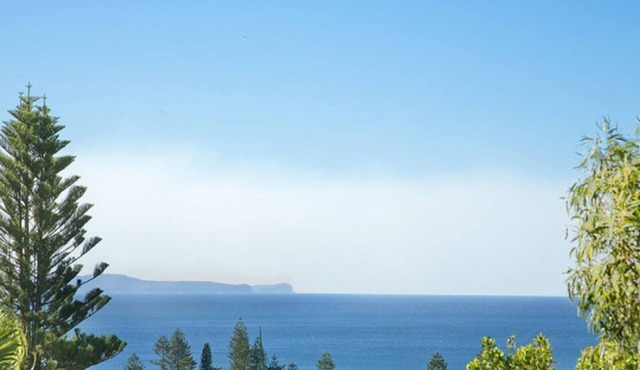 Tzupedo Beach Escape