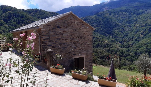 U RATAGHJU - OREZZA Region - CASTAGNICCIA - UPPER CORSICA