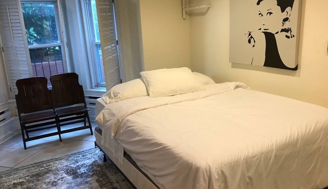 U St/Logan/Shaw < 1.5 Blocks to Metro-Hi ceilings-Lots of Light-English Basement