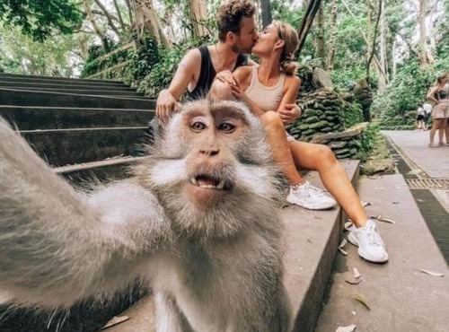 Ubud Classic Day Trip