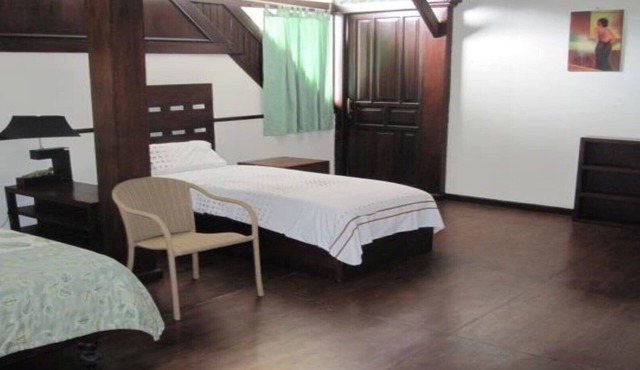 Ubud Rice Terrace - Jungle/Rainforest view