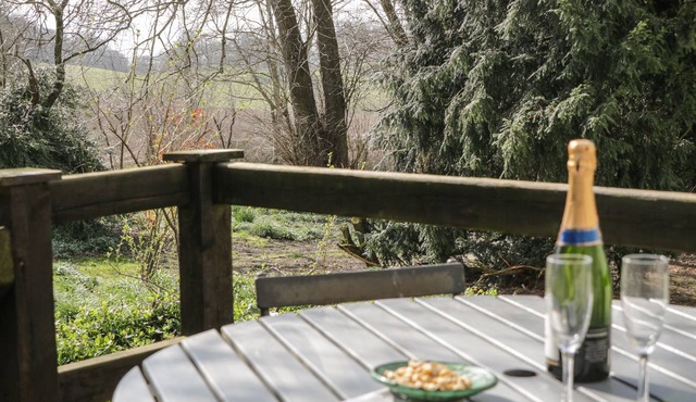 UCHELDREF, pet friendly, character holiday cottage in Corwen