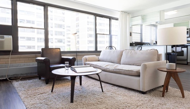 UChicago, Lake, Sci Museum with Gym + W&D | Zencity