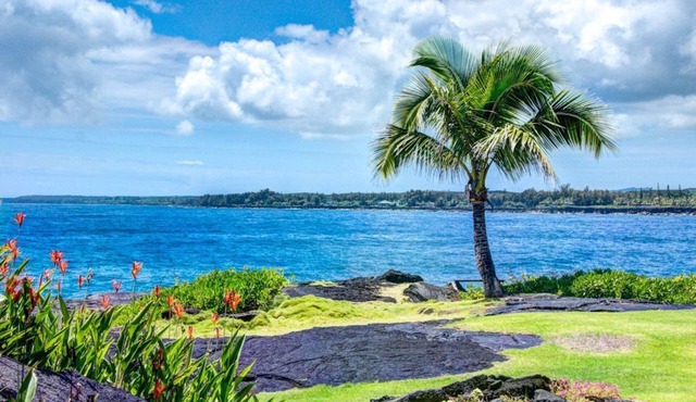 Uli Kai Hale- Ultimate Oceanfront Rental