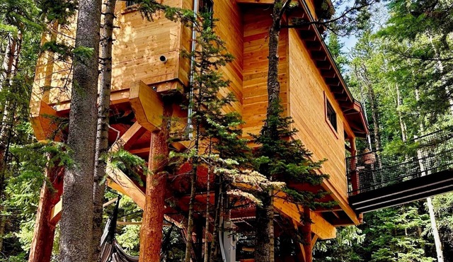 Ultimate Cabin and Treehouse experience - just 1 hour from Denver.