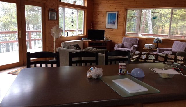 Ultimate Family Lake Experience with 18' pontoon boat