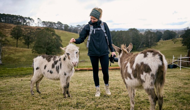 Ultimate farmstay experience - 5 minutes from Jenolan