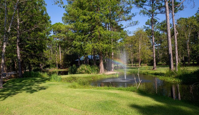 Ultimate Luxury Modern Cottage Getaway * BOAT, Kayaks, Canoe! DOLPHINS