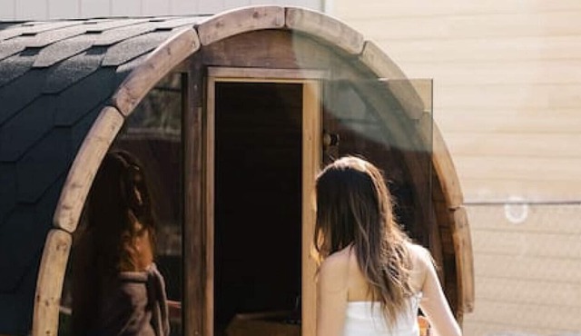 Ultimate South Hill retreat sauna hot tub & arcade