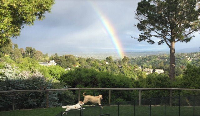 Ultimate Super Bowl Stay: Beautiful Views, 4BR + 3BA w/Hot Tub, 28 min to Levi's