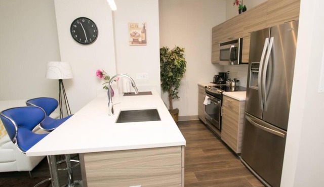 ULTRA MODERN NEW 1BR 1BA BY RITTENHOUSE DOORMAN!!!