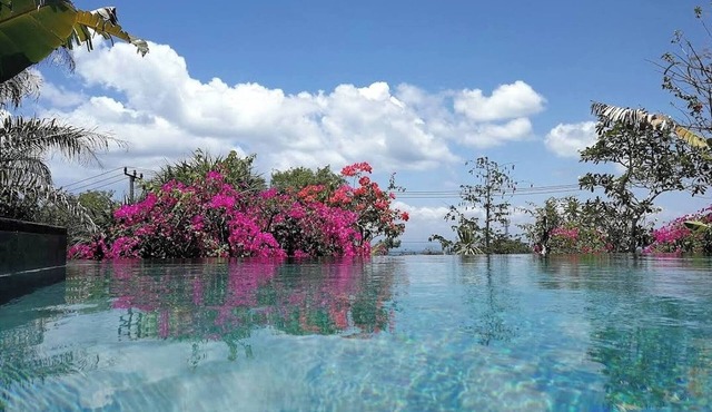 Uluwatu 3 Bed Luxury Villa-pool-magic Ocean Views