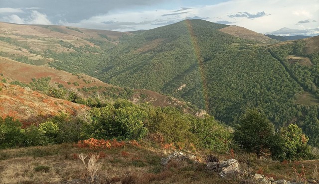 Un Écrin de Verdure Entre Causses Cévennes et Mont Lozère