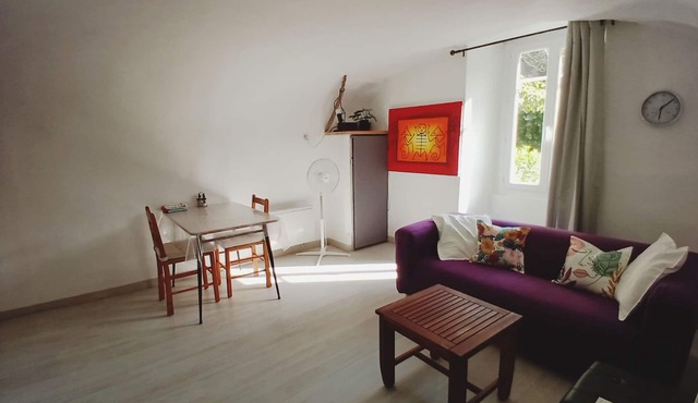 un Appartement Tout en Voutes et en Charme a Deux pas de la Riviere