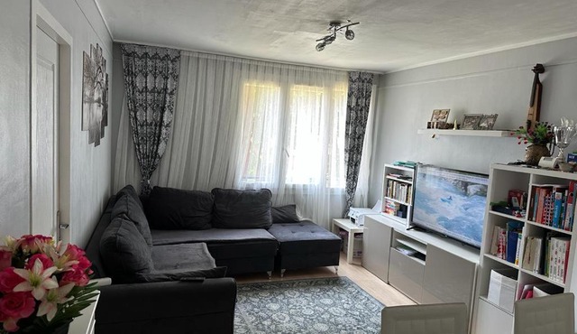 un appartement 2 chambres et un salon avec un canapé-lit