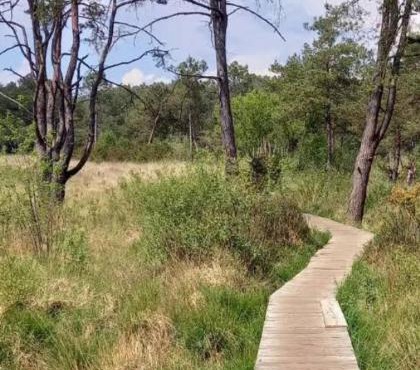 Un morceau de terrain pour ta tente