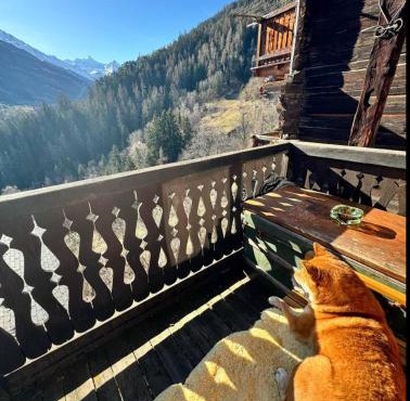Un nid au paradis - Chalet traditionnel avec beaucoup de cachet