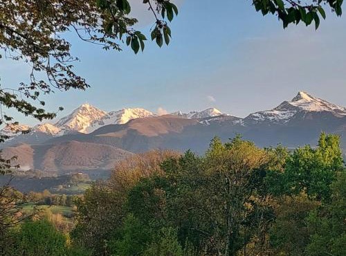 Un Petit Coin de Paradis