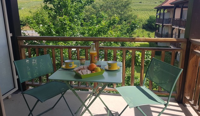 Un Petit Nid au Coeur de L'alsace