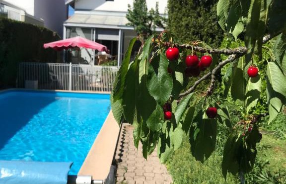 Un séjour éternel à Dijon