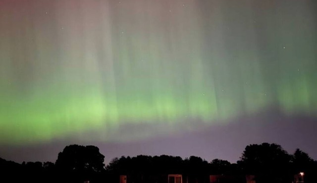 Unbox at Poplar Tree: Poplar (1)