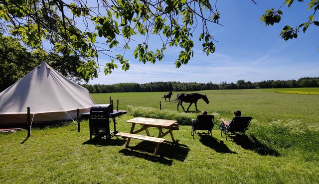 Under Canvas Bornholm