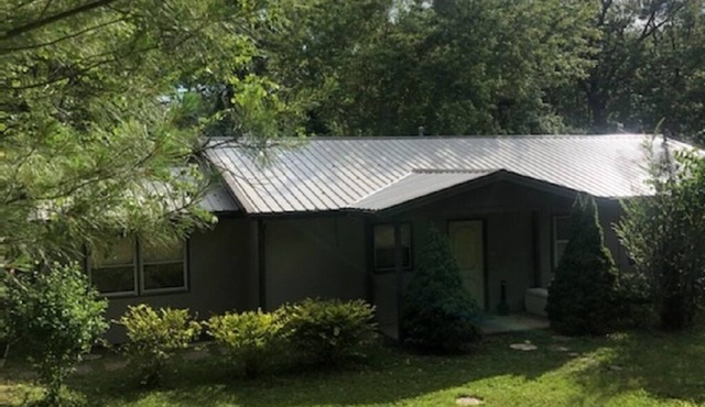 Under Rachael’s Wing