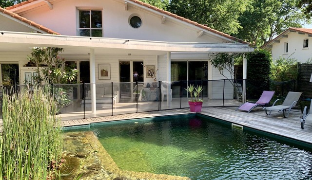 Under the pines of Hossegor, Family home - natural swimming pool & absolute calm