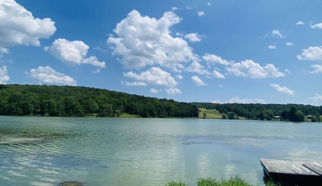 UndertheWillows by Towanda Sayre