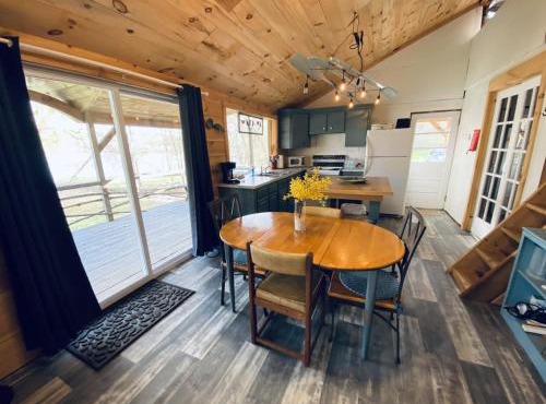 UndertheWillows by Towanda Sayre