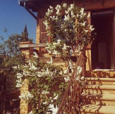 Une evasion dans les Pierres Dorées