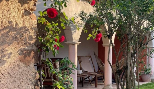 Une Expérience Hors du Temps !