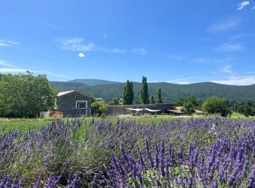 Une grande villa en Provence