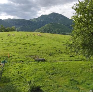 Une pause au pied des Pyrénées